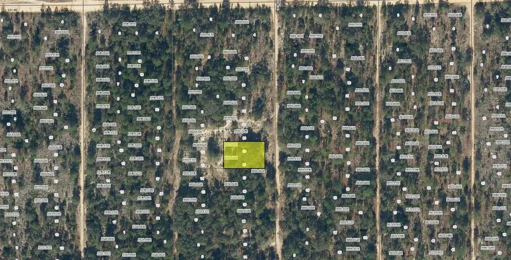 SW 55th Avenue Interlachen FL 32148