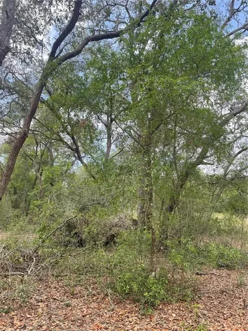 Juniper Street Lady Lake FL 32159