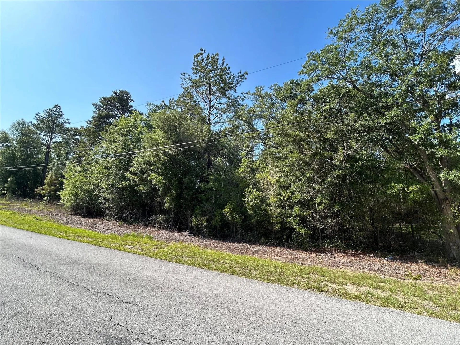 Tbd SW Audubon Avenue Dunnellon FL 34432