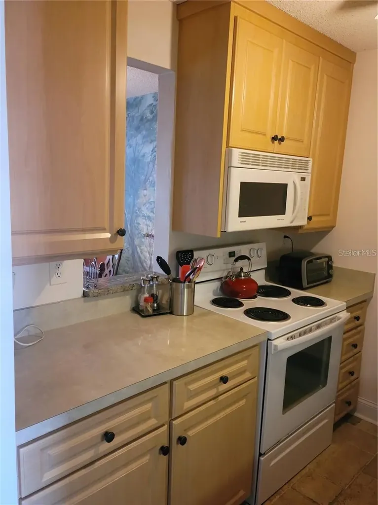 7405 Bay Island Drive S South Pasadena FL 33707