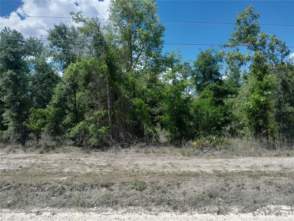 Tbd NE 63rd Place Williston FL 32696