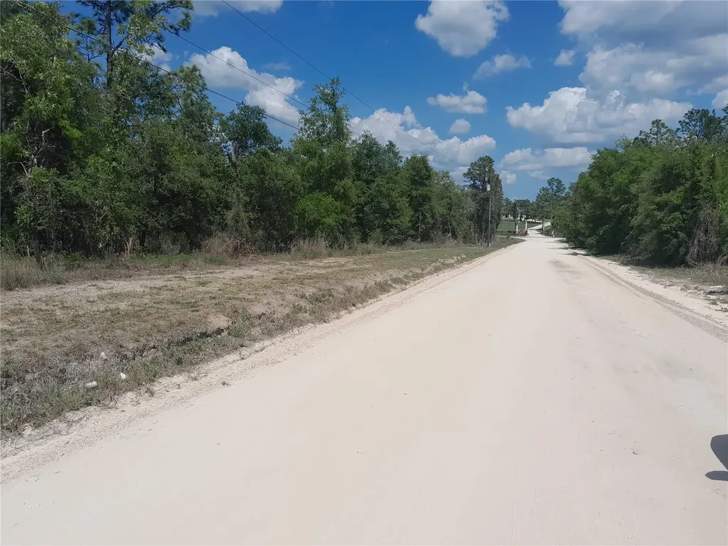 Tbd NE 63rd Place Williston FL 32696
