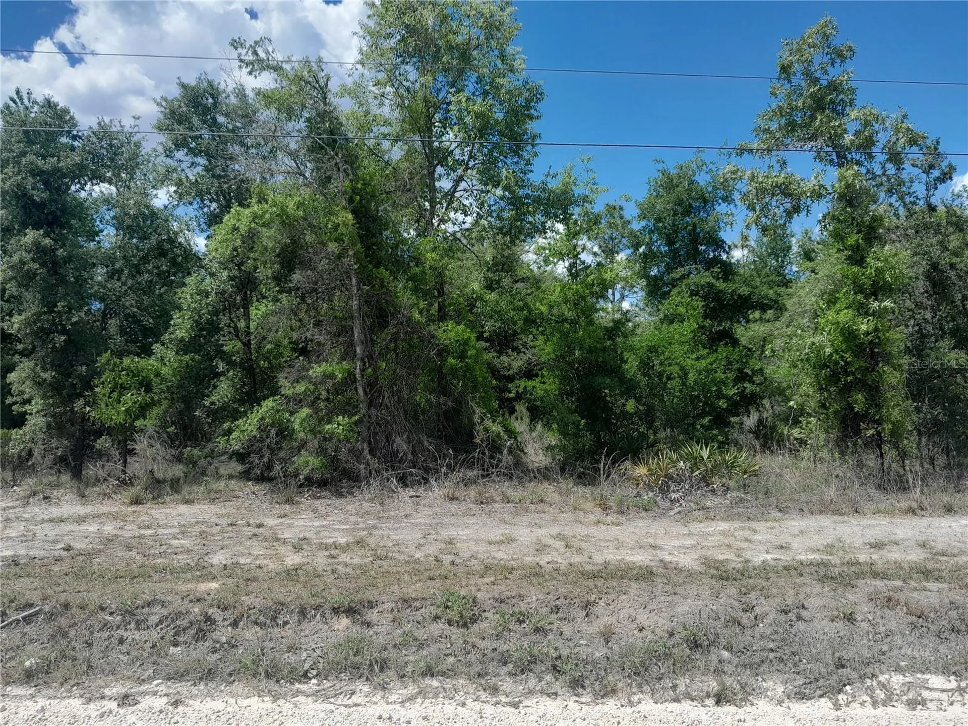 Tbd NE 63rd Place Williston FL 32696