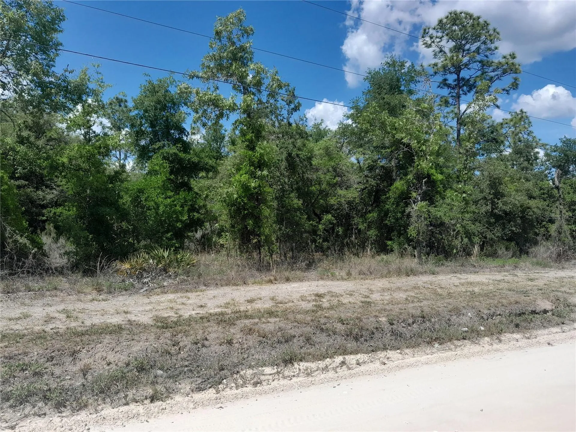 Tbd NE 63rd Place Williston FL 32696