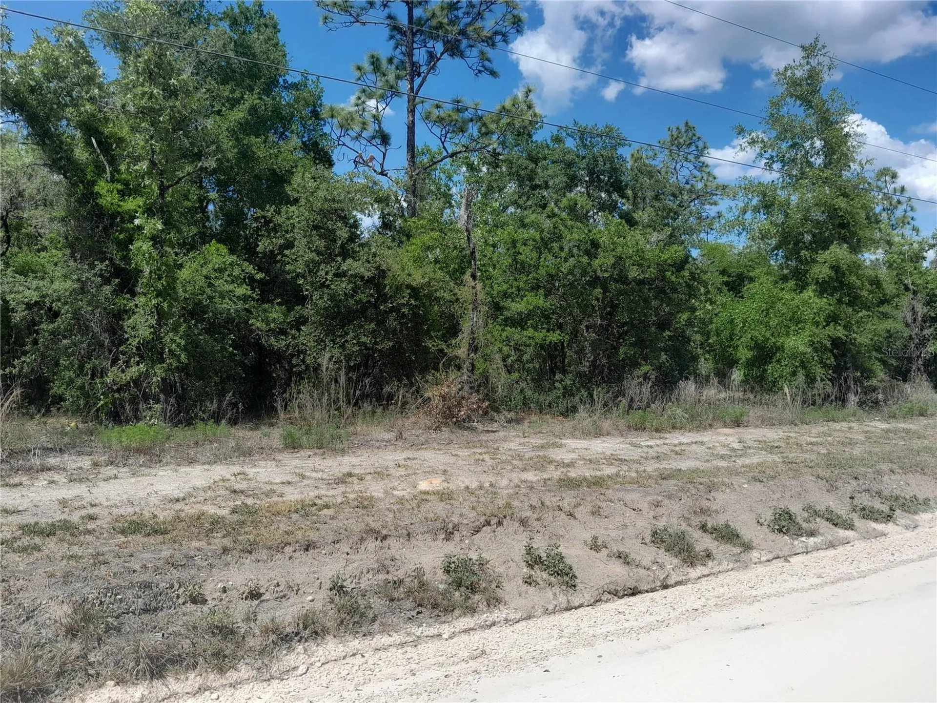 Tbd NE 63rd Place Williston FL 32696