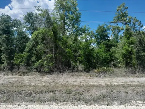 Tbd NE 63rd Place Williston FL 32696