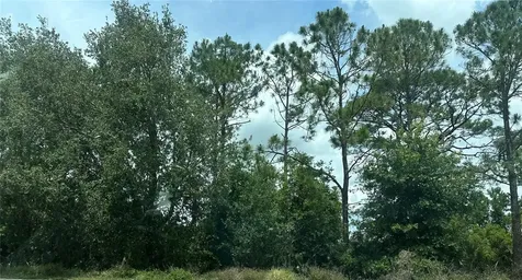 SR-535 Orlando FL 32821