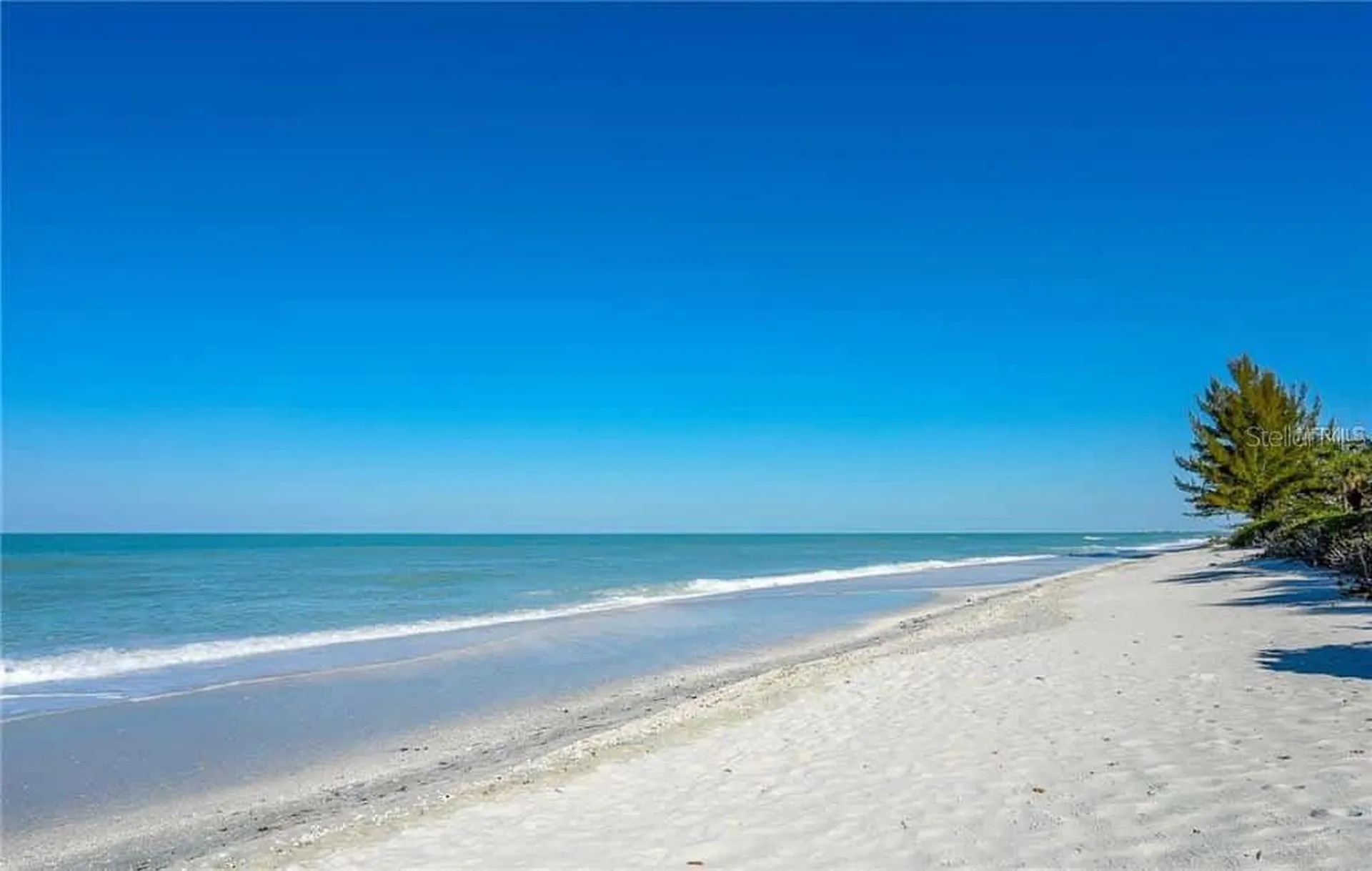 5100 Jessie Harbor Drive Osprey FL 34229
