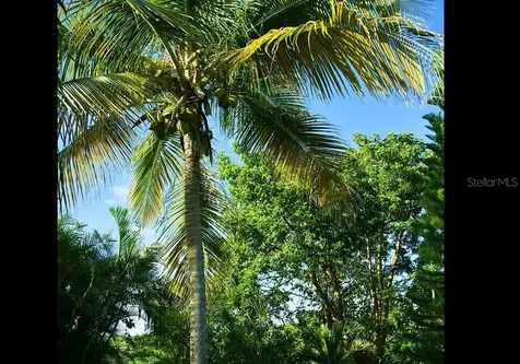 5R Mount Resaca Barrio Flamenco Culebra PR 00775