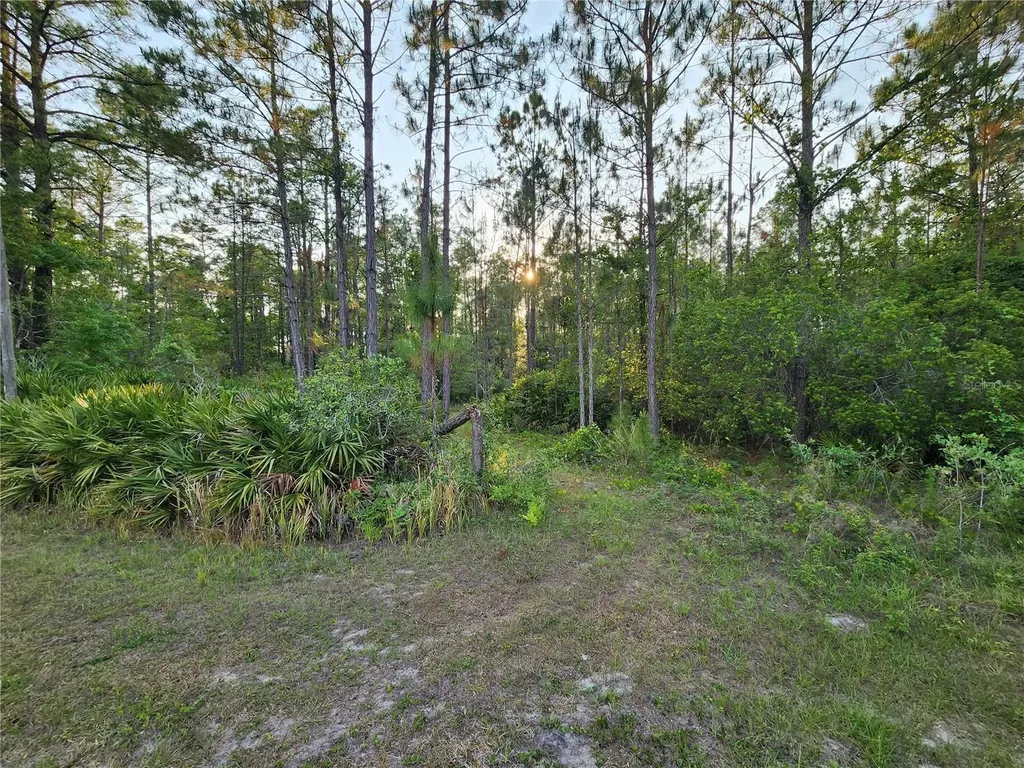 Lot 8 Tamarac Street Eustis FL 32736