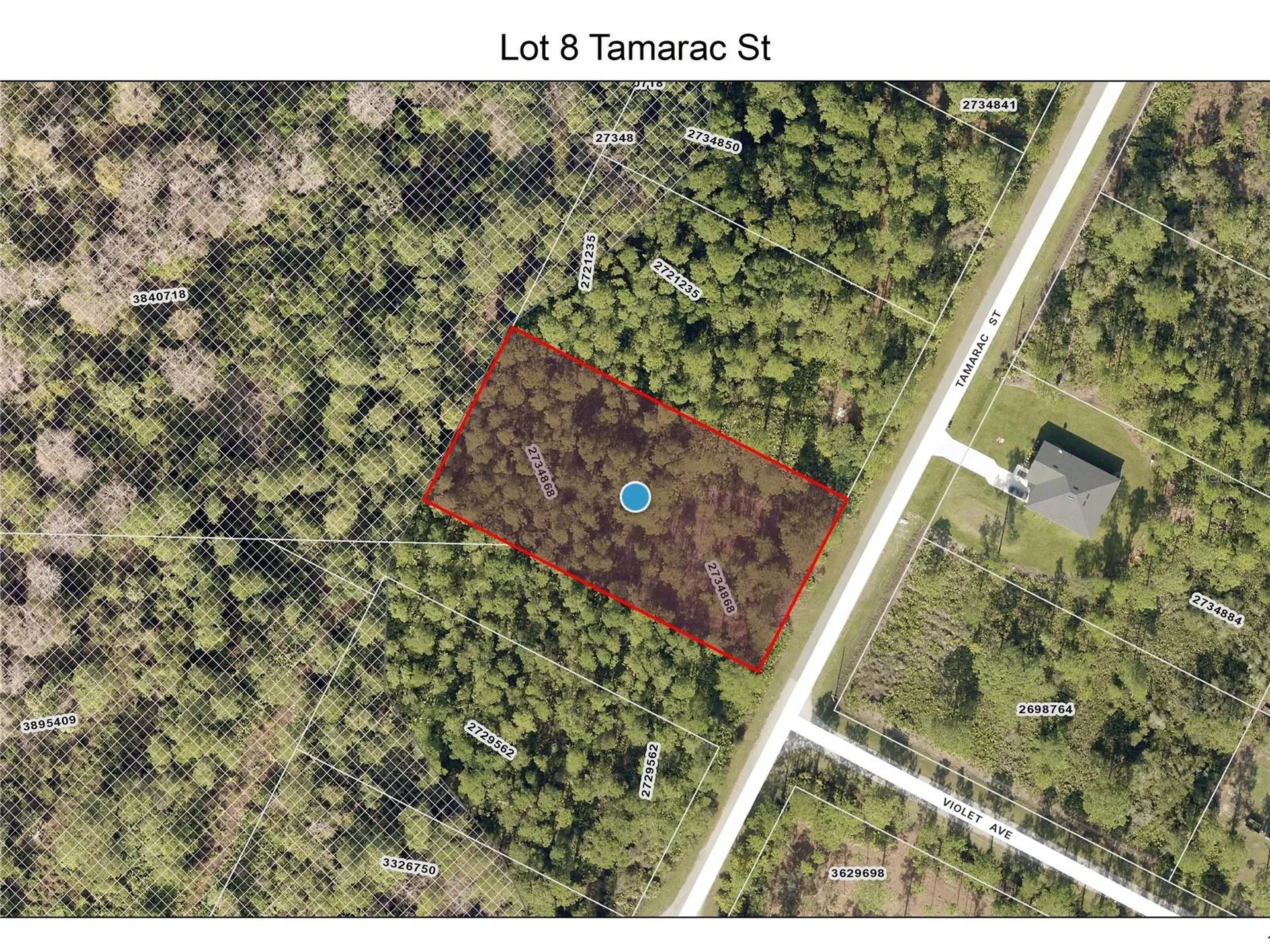 Lot 8 Tamarac Street Eustis FL 32736