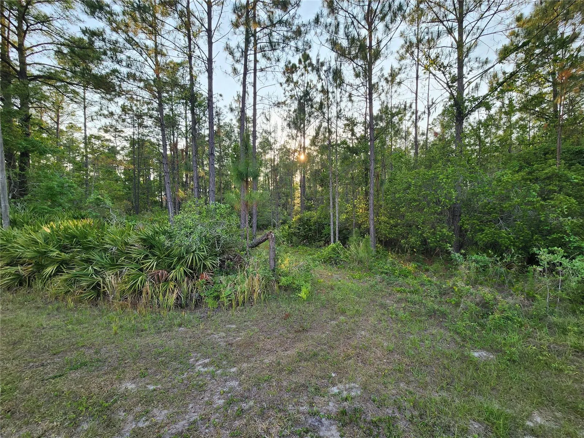 Lot 8 Tamarac Street Eustis FL 32736