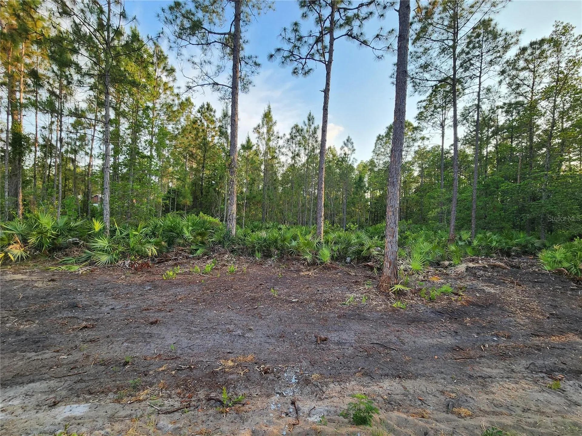 Lot 8 Tamarac Street Eustis FL 32736