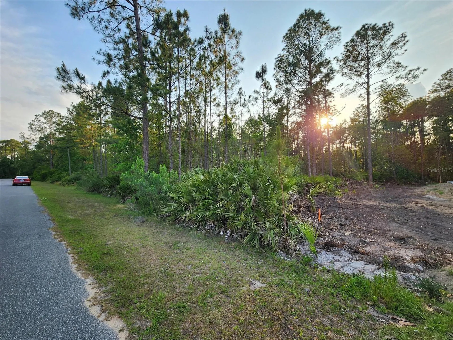 Lot 8 Tamarac Street Eustis FL 32736