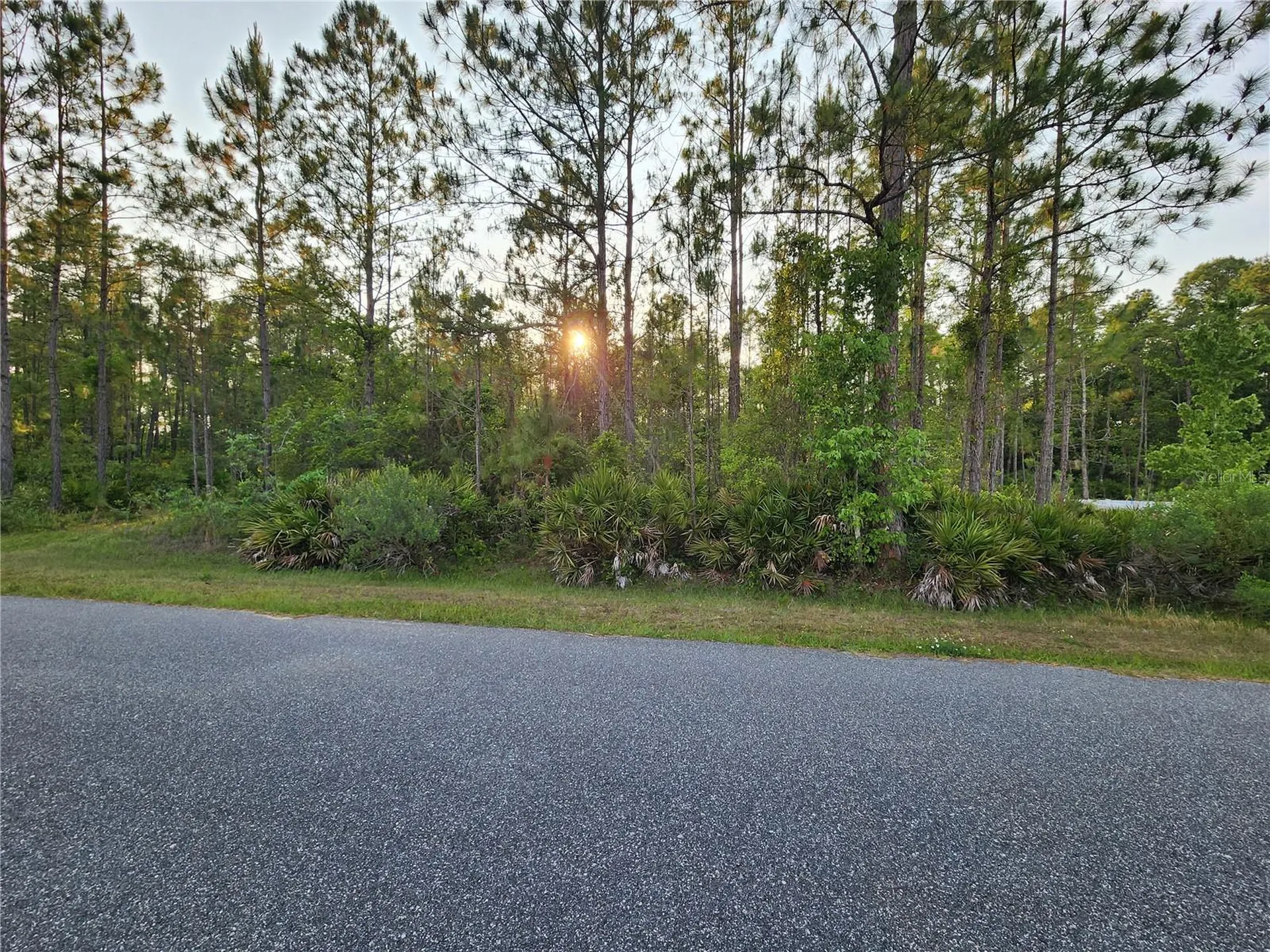 Lot 8 Tamarac Street Eustis FL 32736