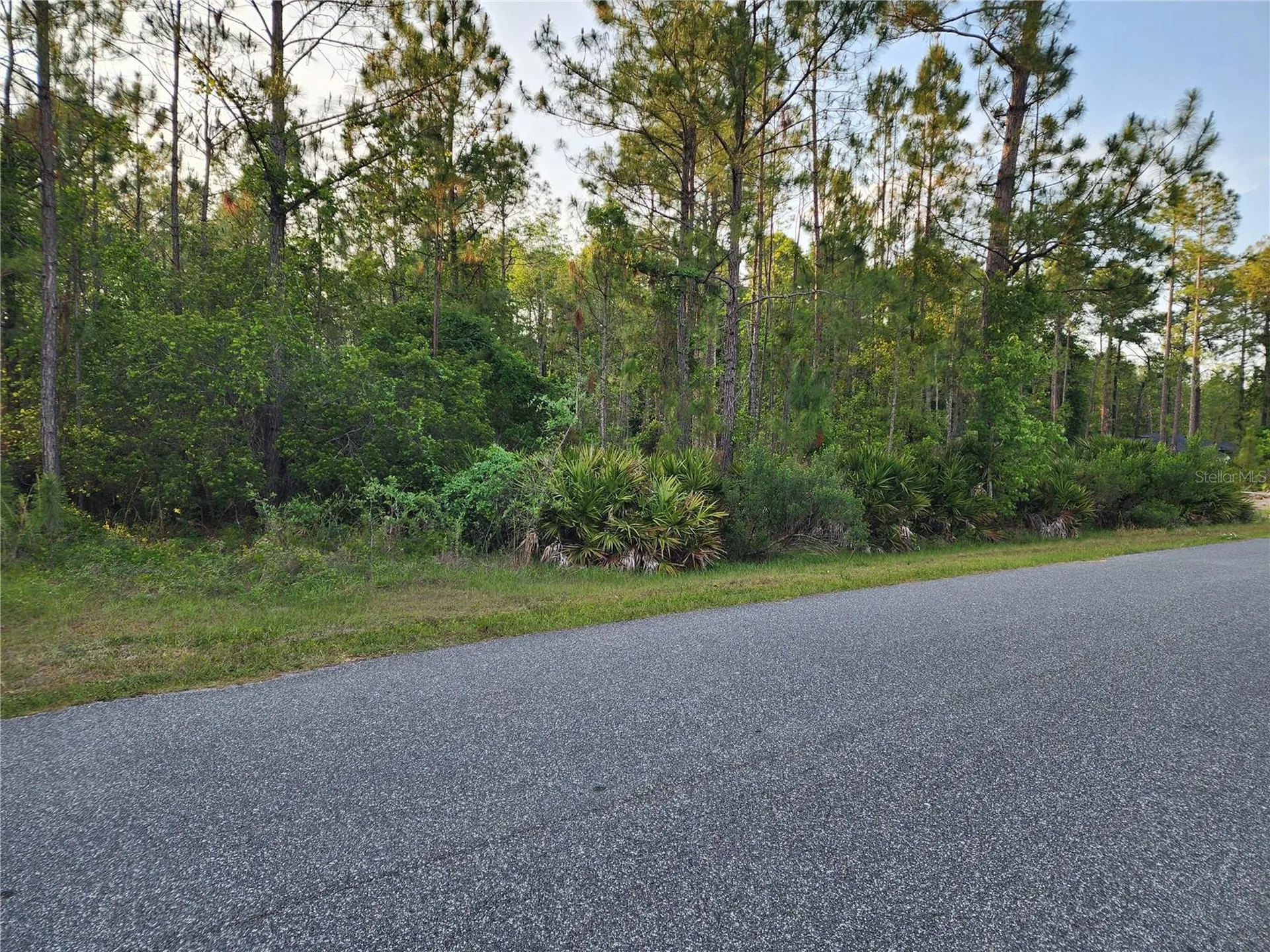 Lot 8 Tamarac Street Eustis FL 32736