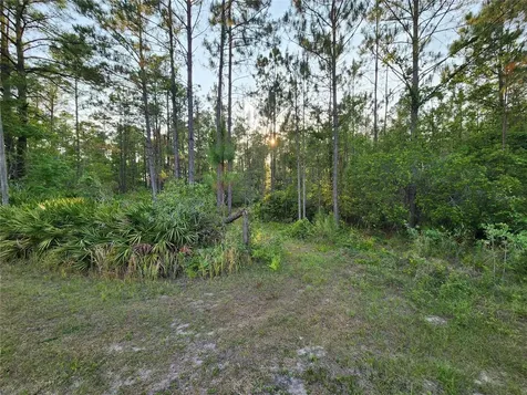 Lot 8 Tamarac Street Eustis FL 32736