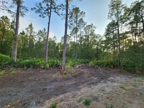 Lot 8 Tamarac Street Eustis FL 32736
