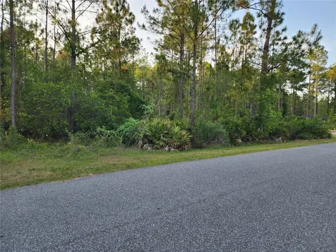 Lot 8 Tamarac Street Eustis FL 32736