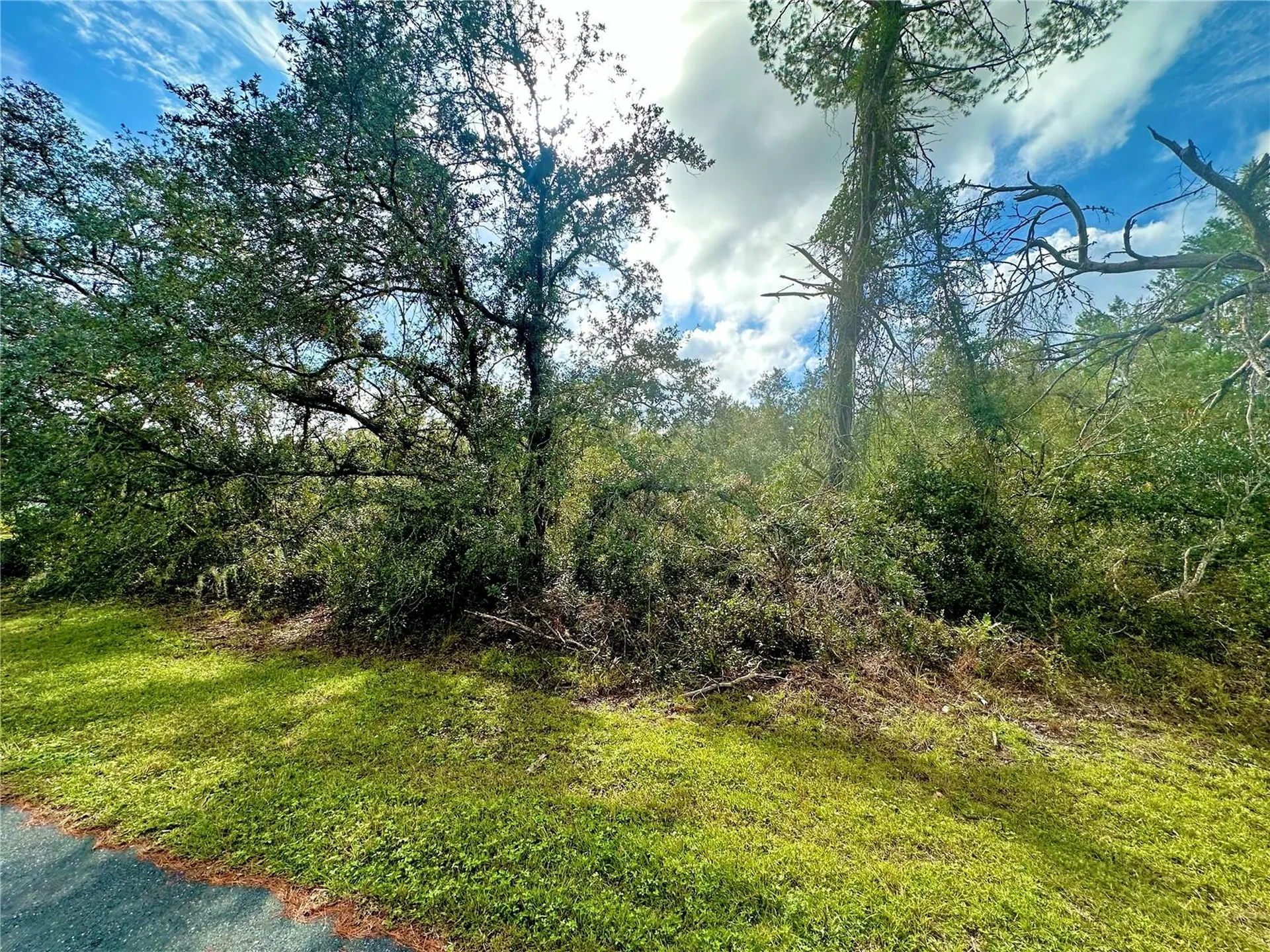 Tbd SW 35th Court Road Ocala FL 34473