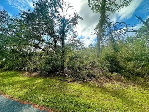Tbd SW 35th Court Road Ocala FL 34473
