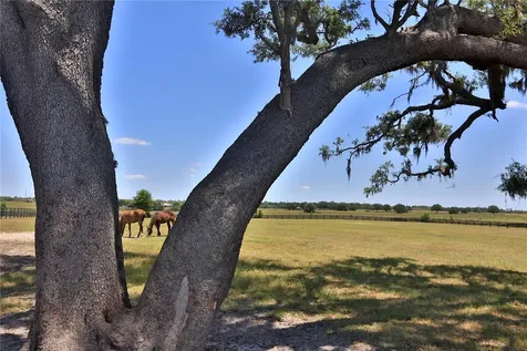 7970 SW 140th Avenue Dunnellon FL 34432