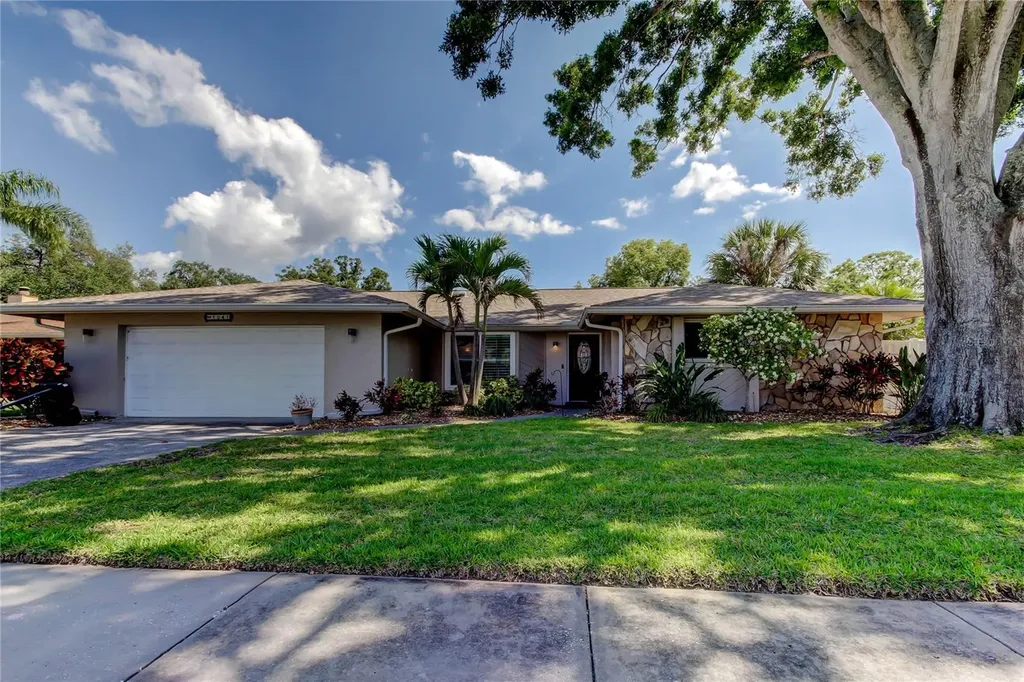 1041 Persimmon Drive Palm Harbor FL 34683