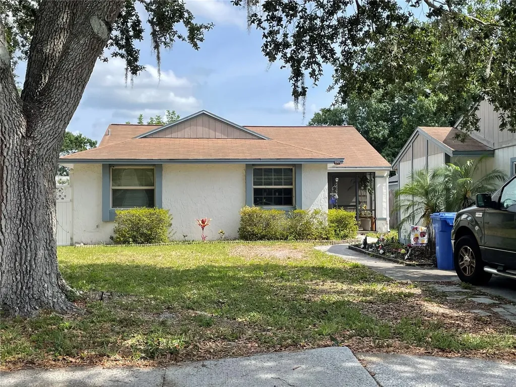 16035 Grass Lake Drive Tampa FL 33618