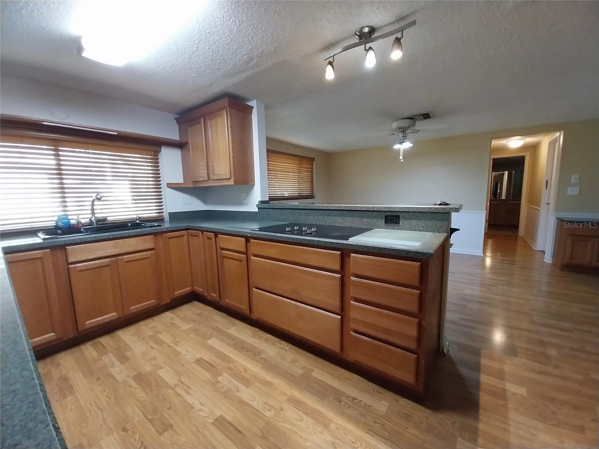 8313 Cavalry Drive Hudson FL 34667