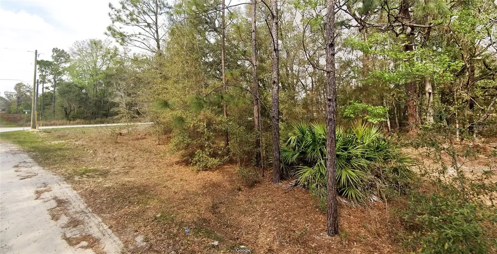 SW 146th Court Ocala FL 34481