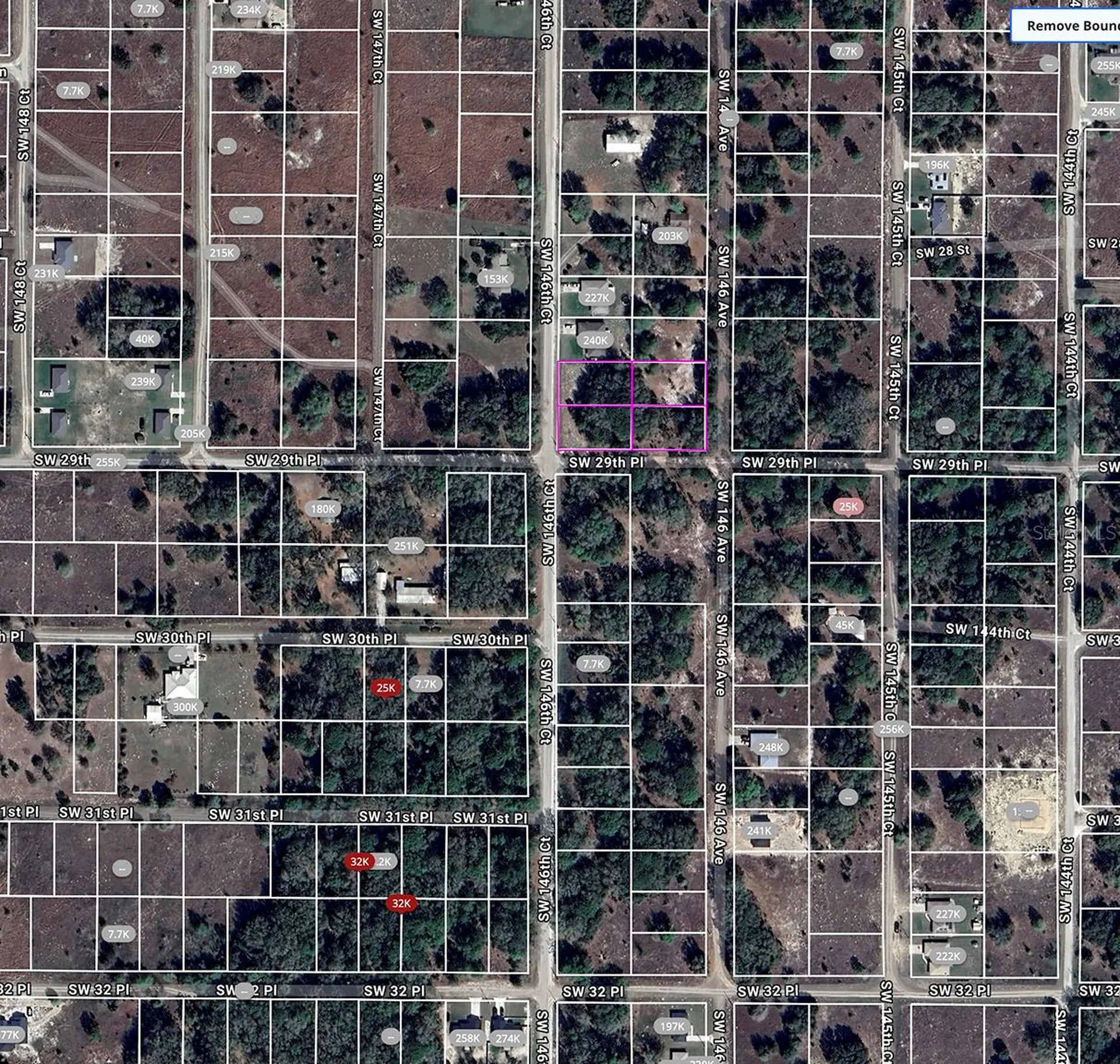 SW 146th Court Ocala FL 34481