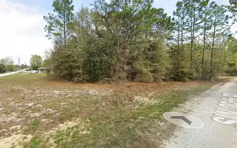 SW 146th Court Ocala FL 34481
