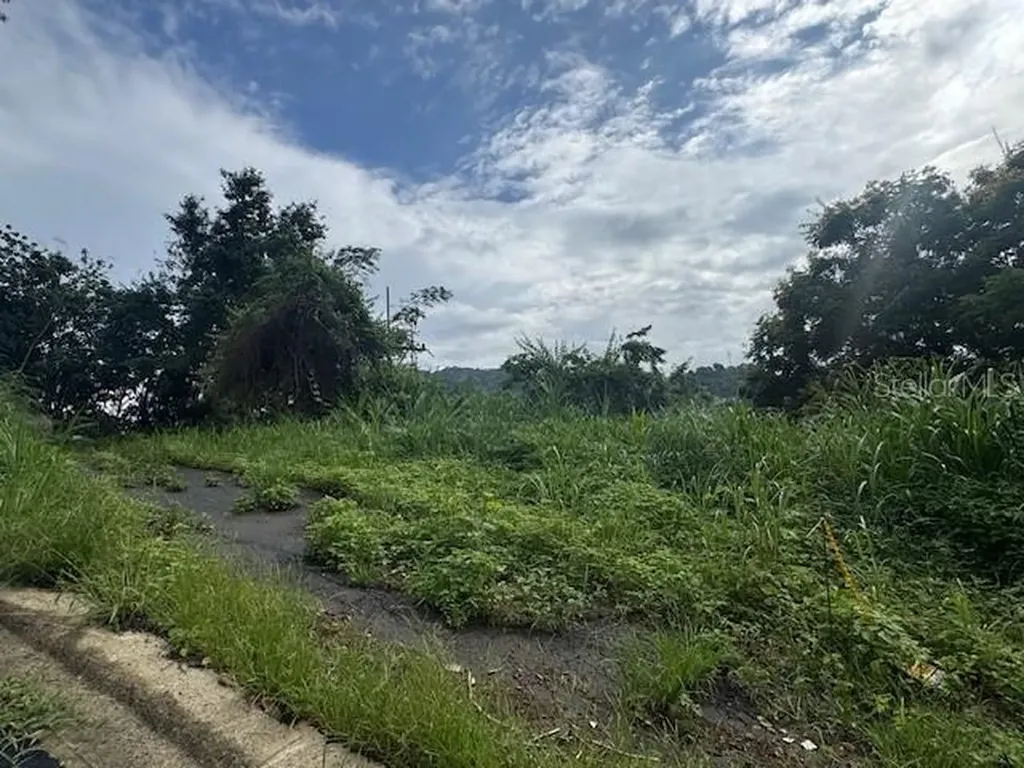 816 Bo Nuevo Bayamon PR 00956
