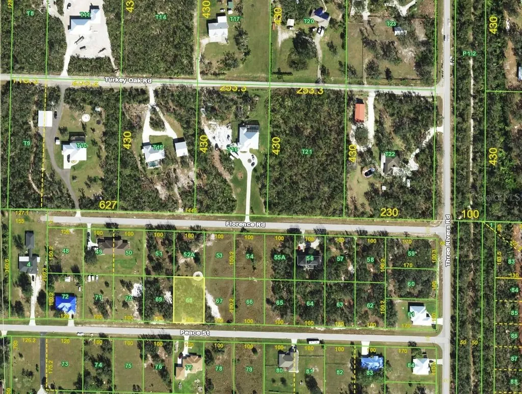 31062 Peace Street Punta Gorda FL 33982
