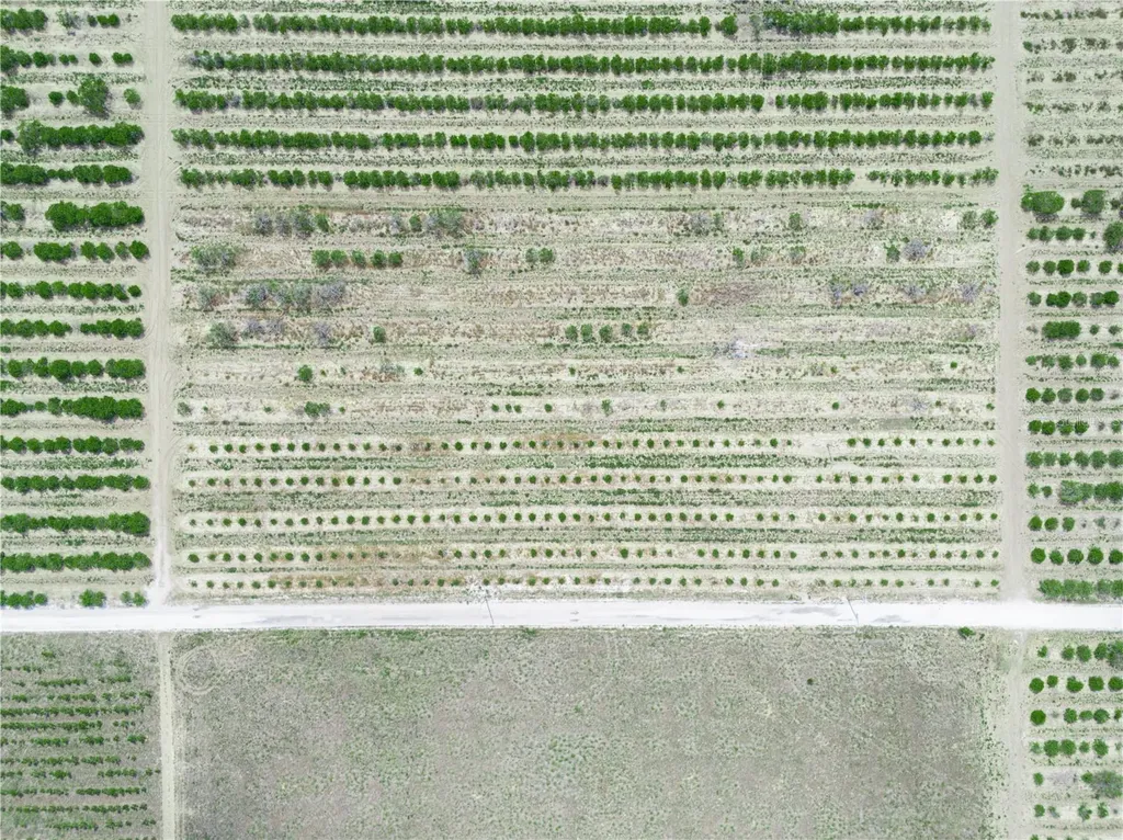 Gilbert Road Lake Wales FL 33898