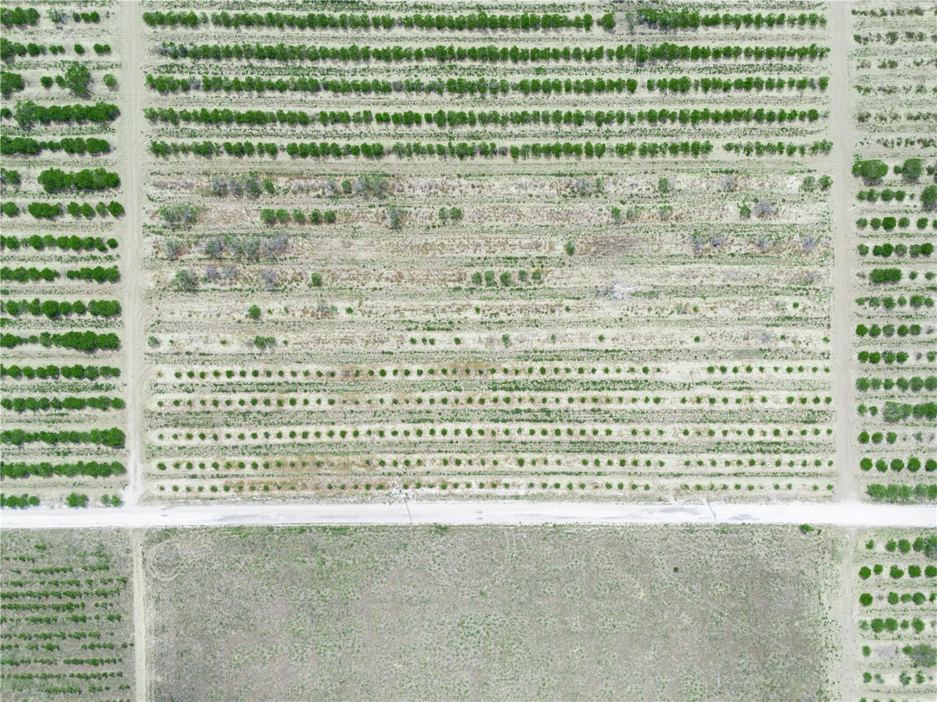 Gilbert Road Lake Wales FL 33898