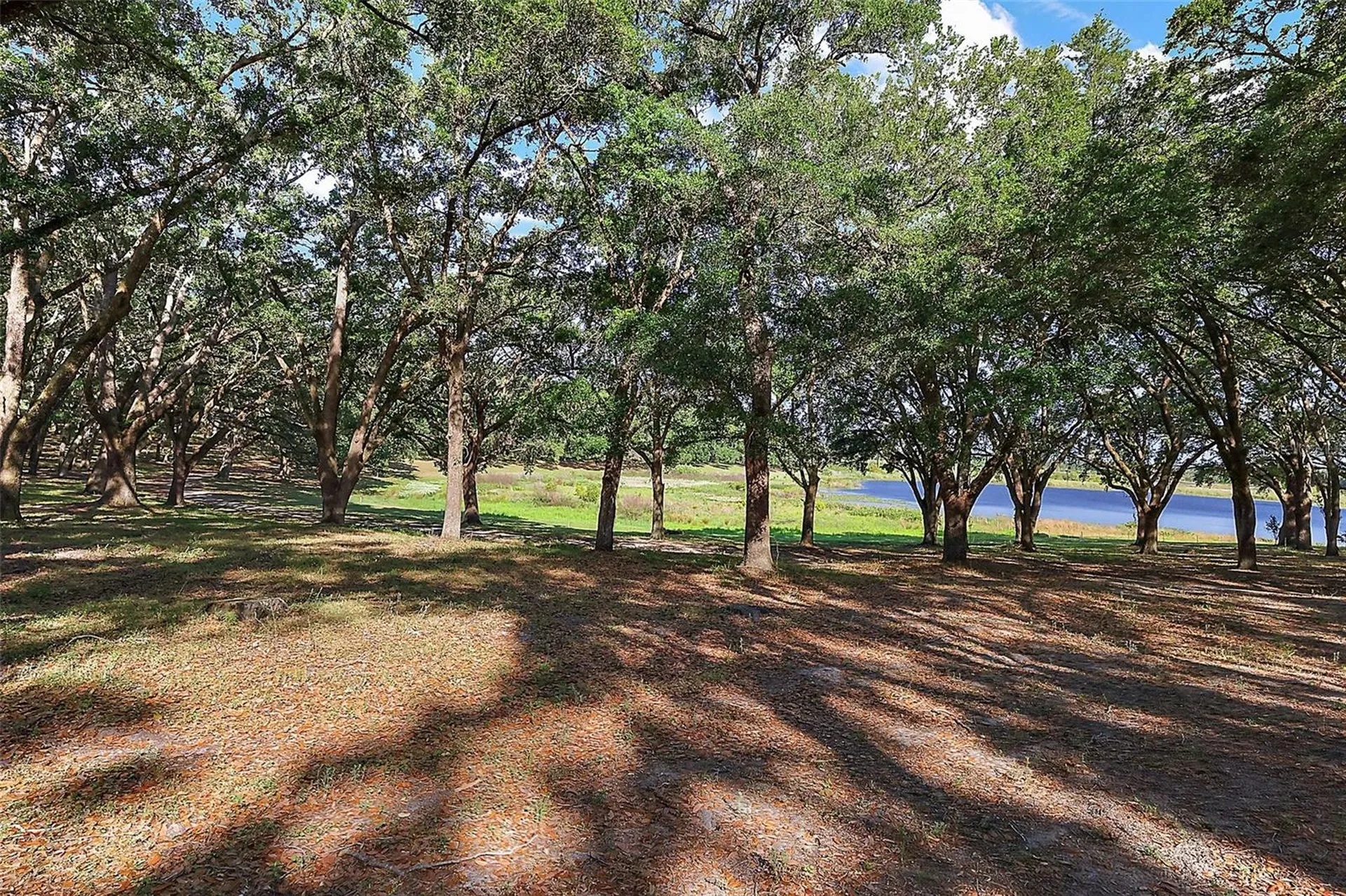 27011 SE Highway 42 Umatilla FL 32784
