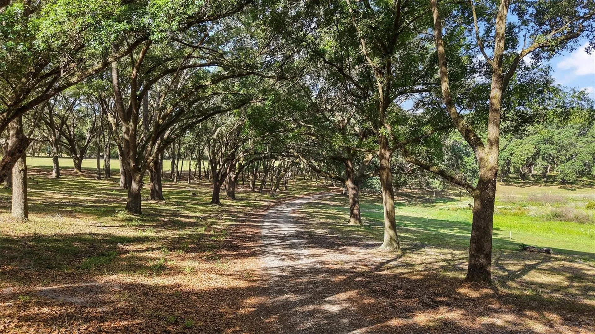 27011 SE Highway 42 Umatilla FL 32784