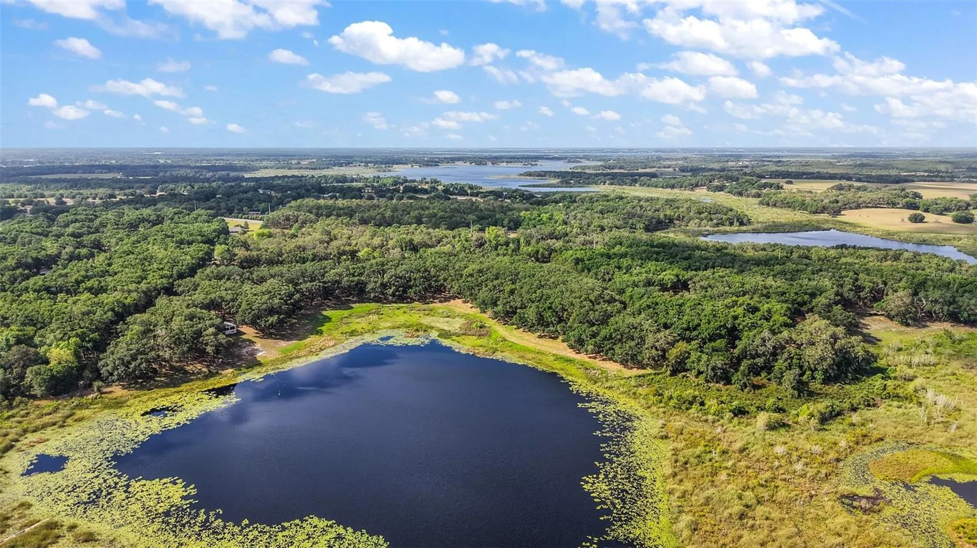 27011 SE Highway 42 Umatilla FL 32784