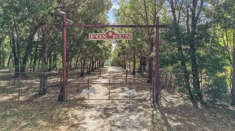 27011 SE Highway 42 Umatilla FL 32784