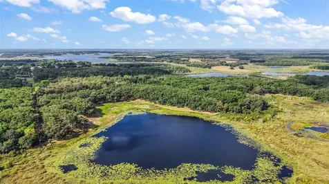27011 SE Highway 42 Umatilla FL 32784