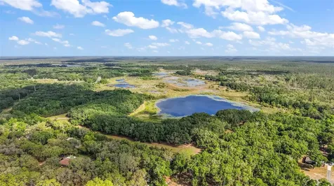 27011 SE Highway 42 Umatilla FL 32784
