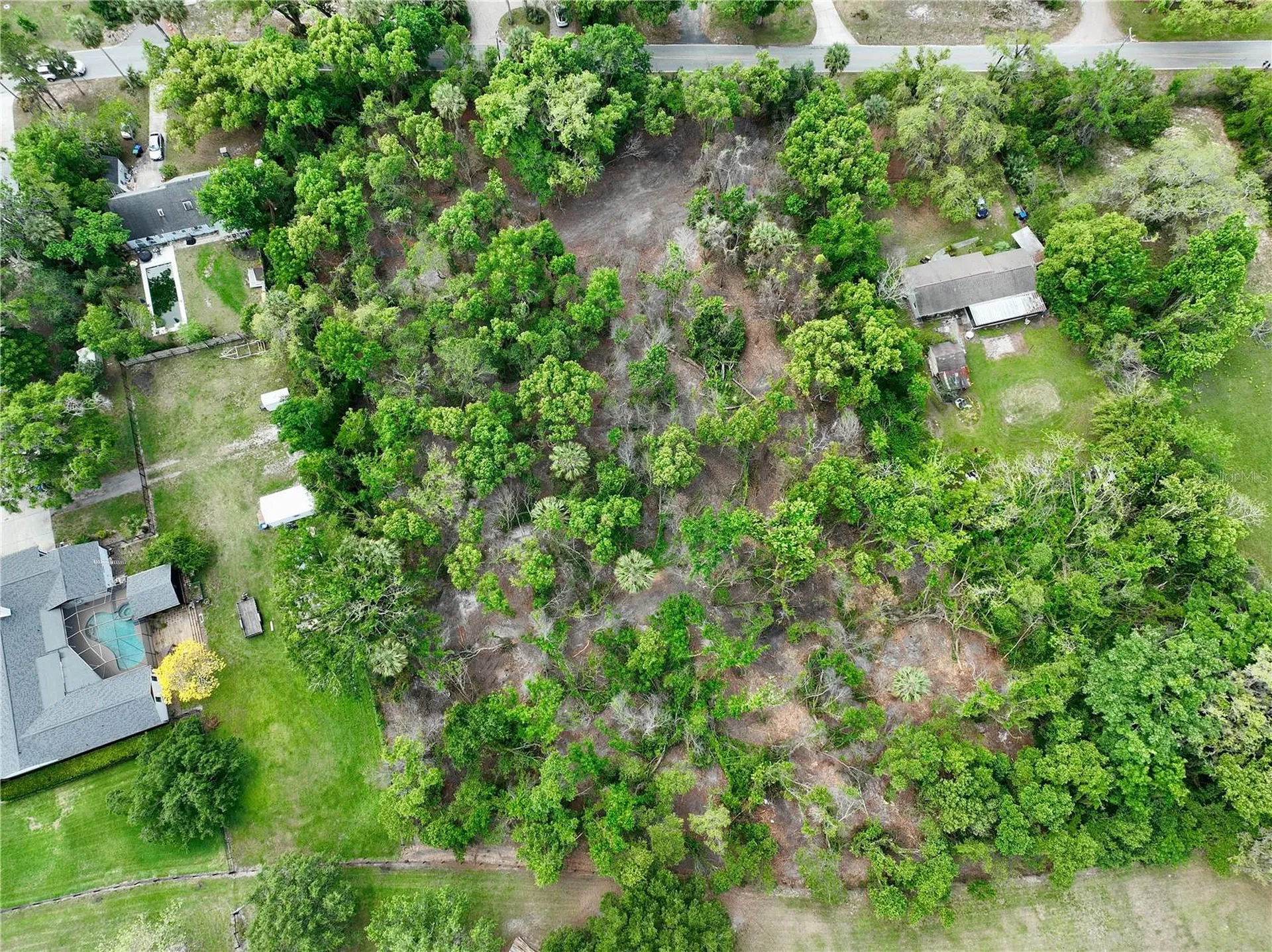 7343 Lake Ola Drive Mount Dora FL 32757