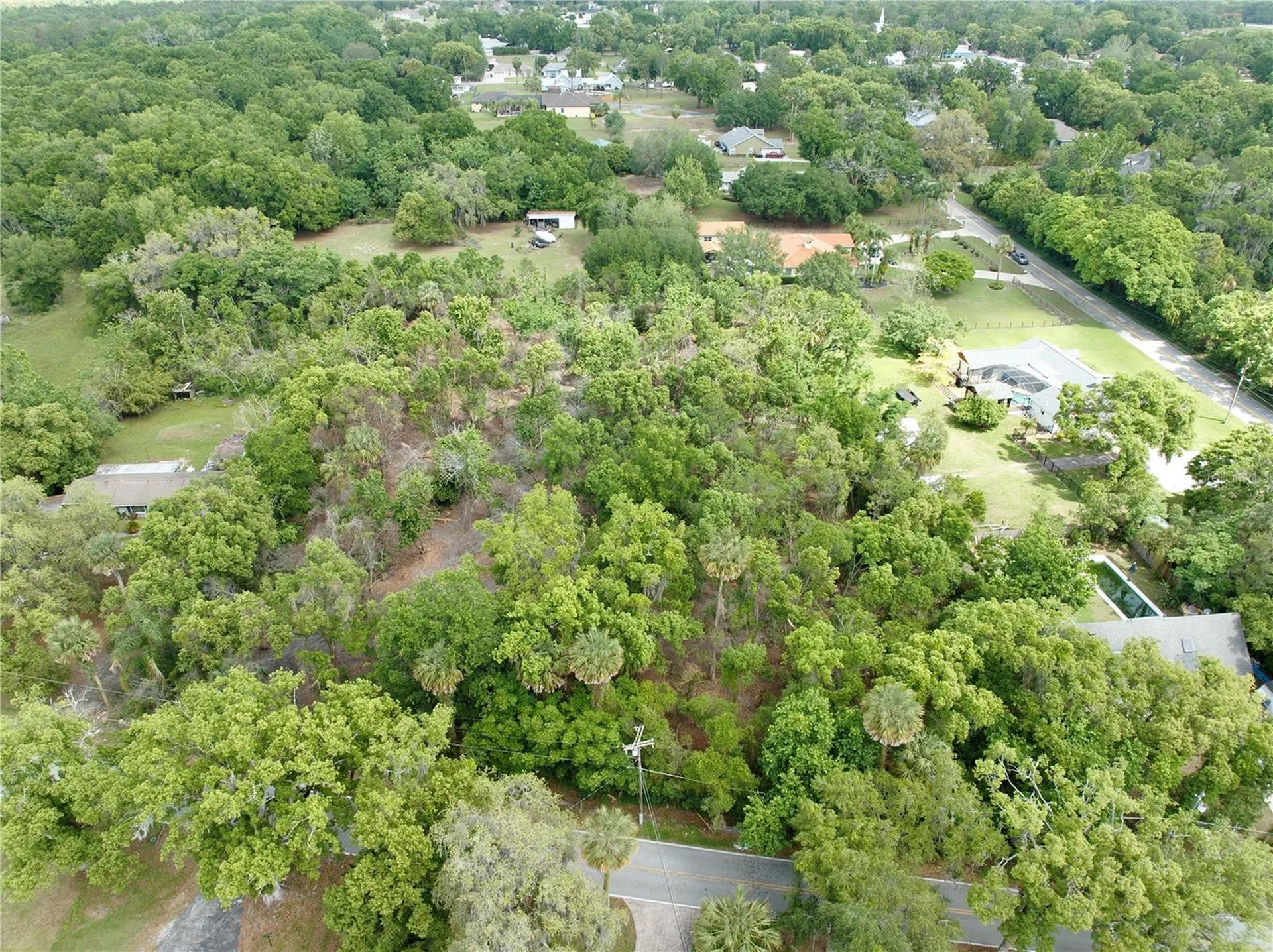7343 Lake Ola Drive Mount Dora FL 32757