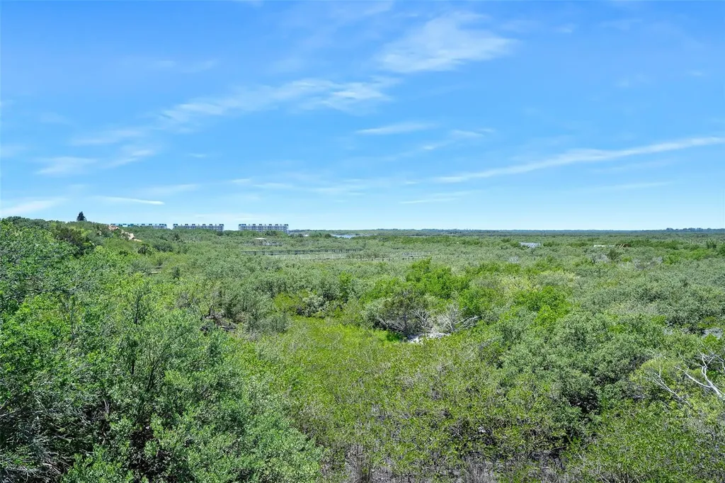 14 Marsh Court Ponce Inlet FL 32127