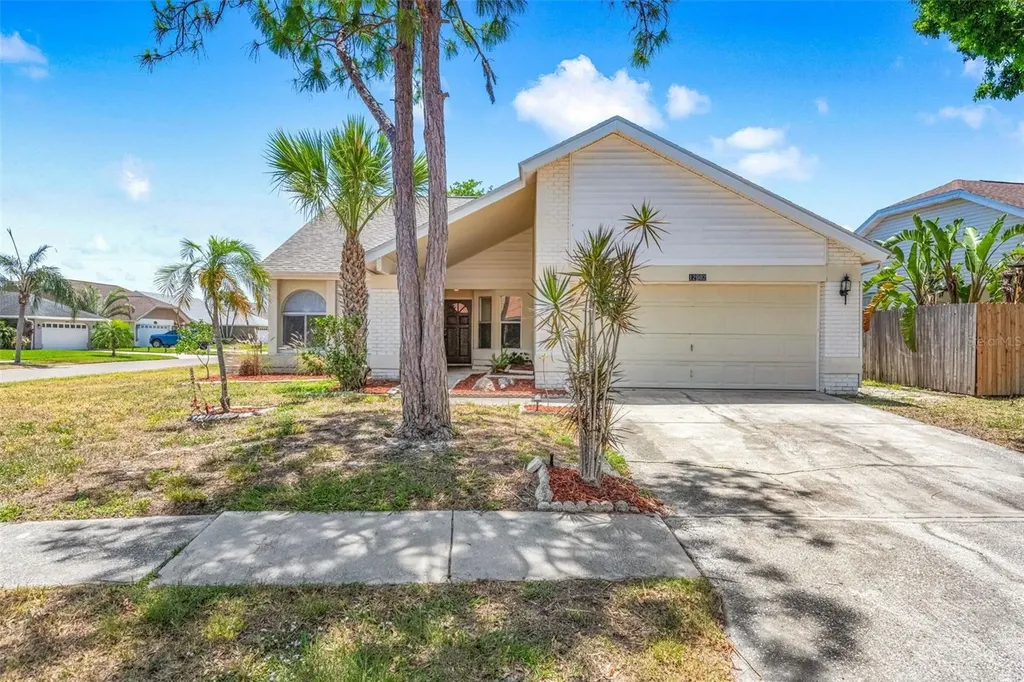12002 Peony Court Tampa FL 33635