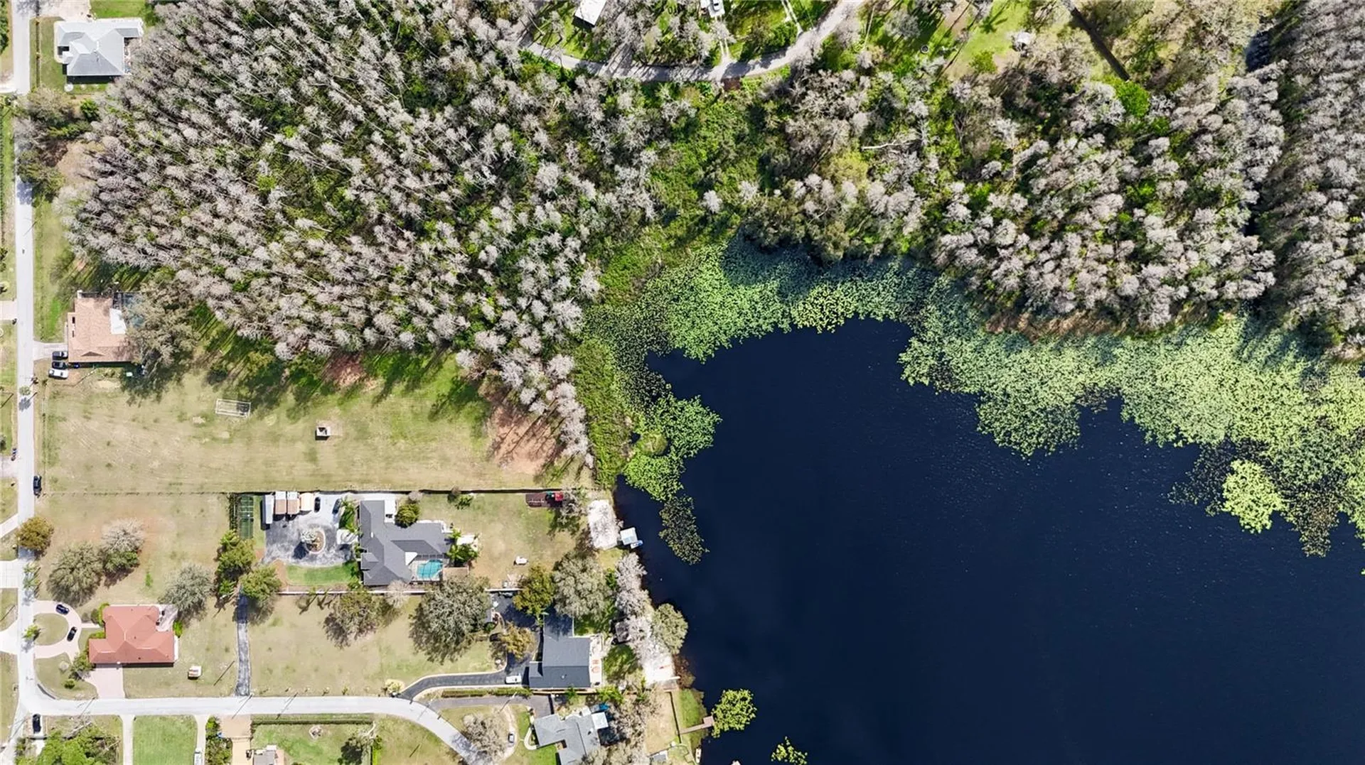 Auralee Acres Lot 3 Blount Road Lutz FL 33558