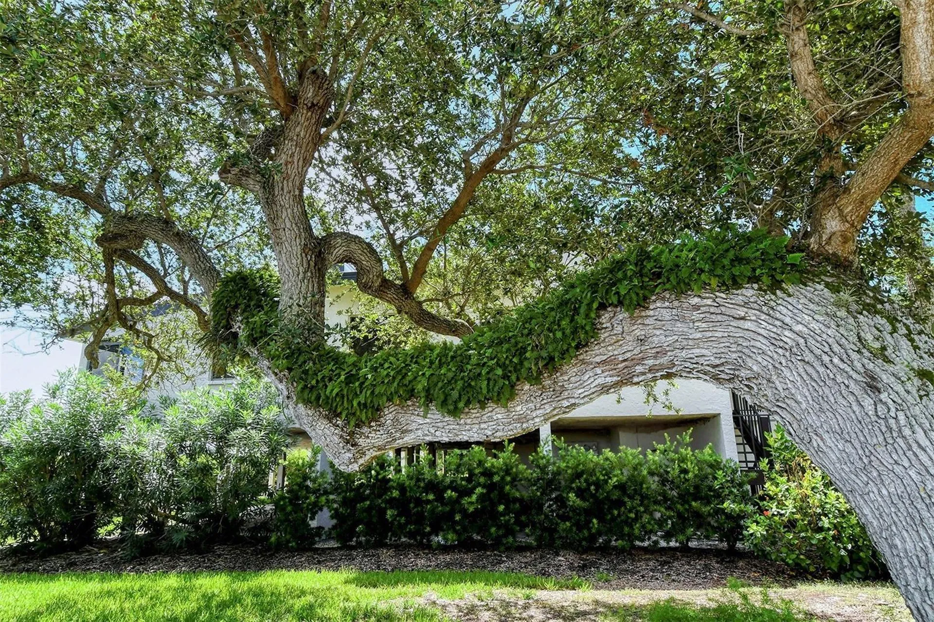 6285 Midnight Pass Road Sarasota FL 34242