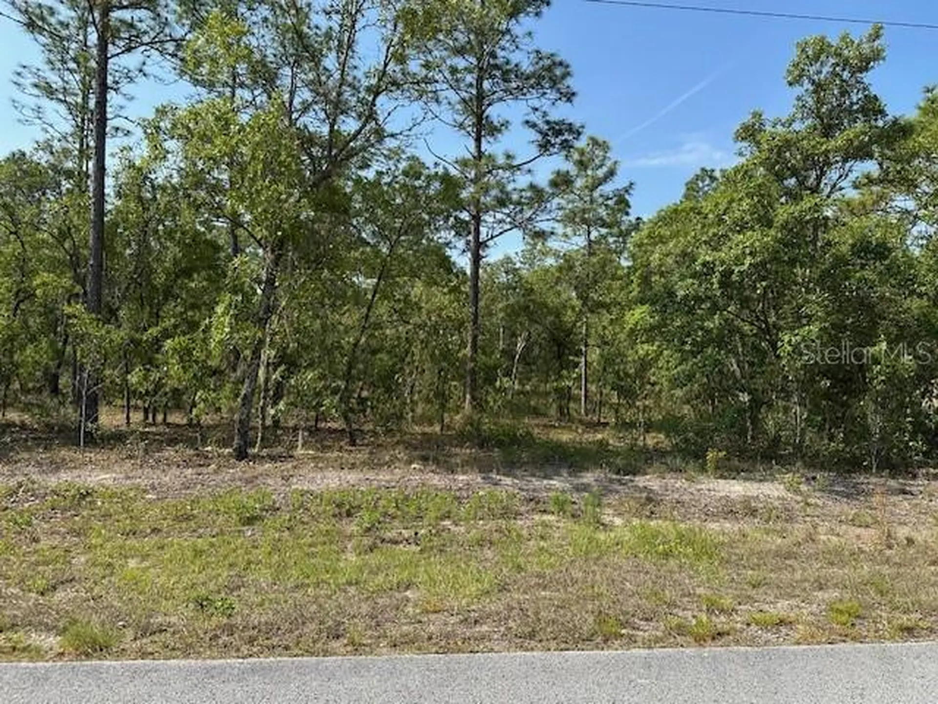Lot 20 SW Anchor Boulevard Dunnellon FL 34431