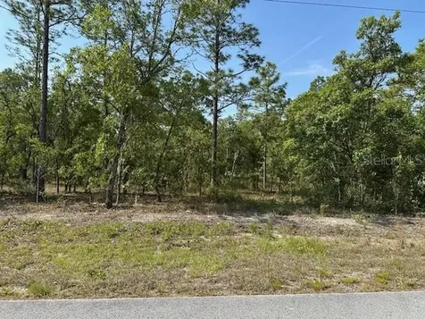 Lot 20 SW Anchor Boulevard Dunnellon FL 34431